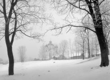 Frosty morning in January / ***