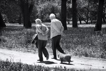 family / ..........................