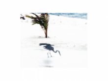 Wind / ***