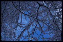 look in your sky / ***