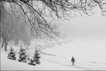 february / no comment