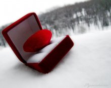 cold silence / ***