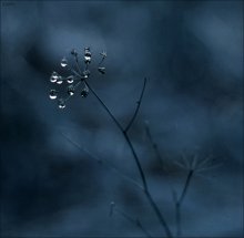Color Dreams / ***