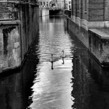 two in the city / ***