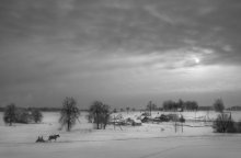 Home / ***