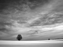 between the snow and sky / -----