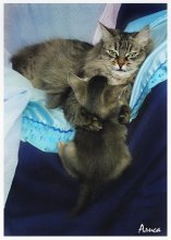 Mom, KEEP! / ************