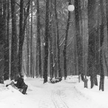 The first snow fall / ***