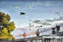 Sky in the Water-Lilies / *****