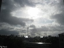 After the storm ... / ***