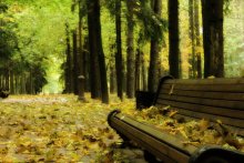 Autumn / ***
