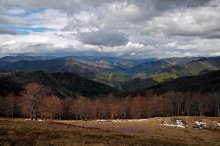 Spring in Carpathians / ***