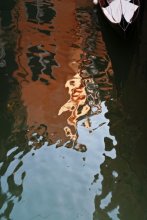 Reflection / ***