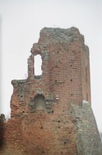 Navagrudsky Castle / ***