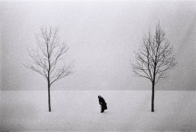 [Hops. Waiting for Godot} / ***