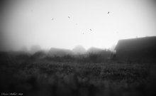 In the Mist / ***