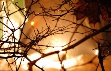 Shining the light ... / ***