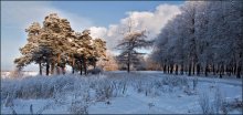 Winter. / ***