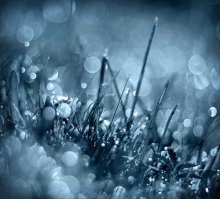 Cold Eternity / ***