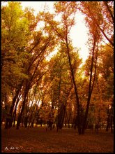 Autumn / ***