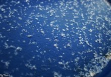Sprinkle of snowflakes / ***