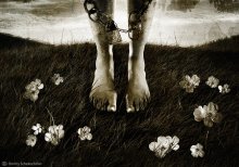 Path Of The Primroses / *****