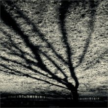 [ ExplosioN ] / ***
