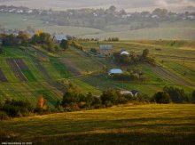 On the slopes of the Carpathian / ***