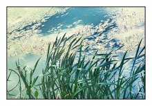 Water № 484 / ***