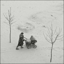 Mothers, a strong, hardy dedicated ... / ***