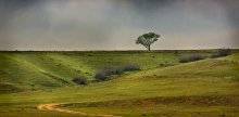 Somewhere in the Crimea / ***