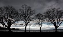 Cmutny Boden storm. / Bregenz. Bodensee.