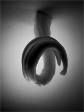 life is twisted / ***