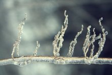 Ice Resistance / ***