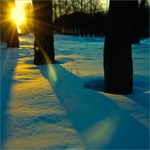 [ Endless Winter ] / ***