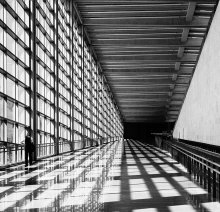Striped flight / ***