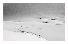 ///// 2010 / ***
