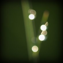card without a focus (s) / ***