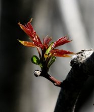 Frühling / #@#@#
