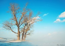 Blizzard ... / *****