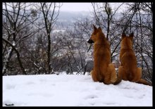 Prince and Princess "High Castle" ... / ............
