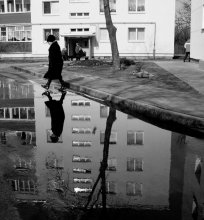 In the yard / ***
