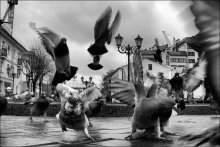 Invasion / ***