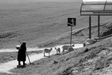 crosswalk) / -----