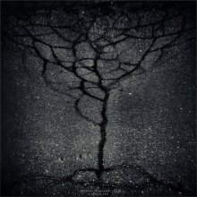 [ ...and on the asphalt trees grow ] / ***