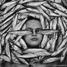 Fisheye / ***