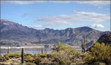 February sun deserts / ***