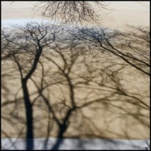 Zavesennilis / ***