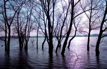 Flood / 88888888888888888888888888888