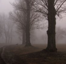 April morning / ***